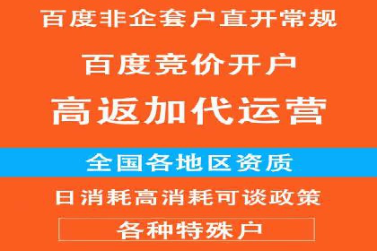 SEM代运营公司案例：精准营销策略